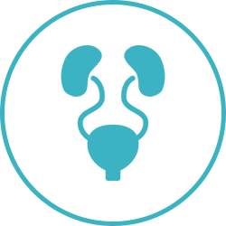 Urinary catheter insertion & care